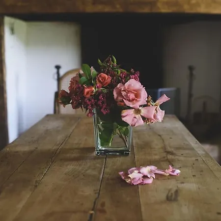 Villa Le Pressoir - Domaine Du Chateau De La Bourlie - Boutique Up To 12 Guests